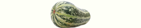 The Marrow Conspiracy! by John Britton